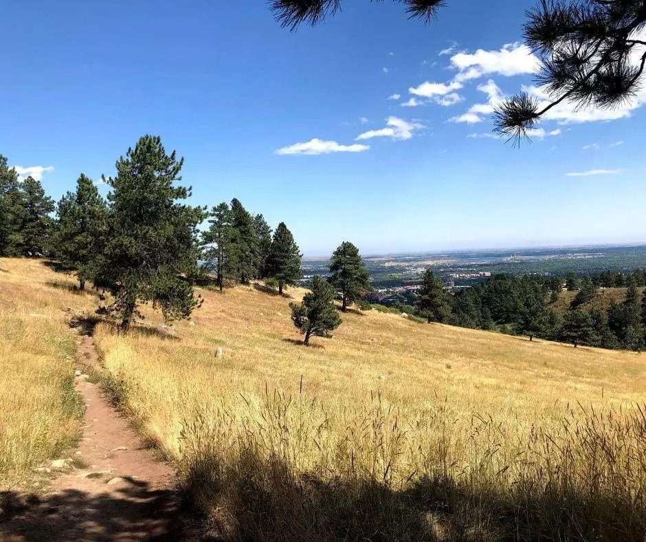 grassy meadow path at chautauqua park in boulder colorado