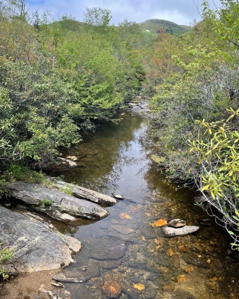yellowstone prong streaming through graveyard fields loop trail in north carolina