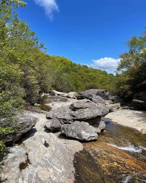 graveyard fields upper falls loop trail in north carolina - lower section