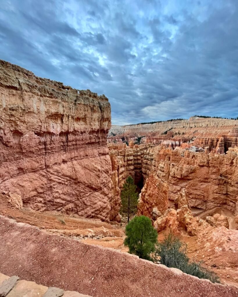 Initial views of Wall Street after starting on the Navajo Loop Trail.