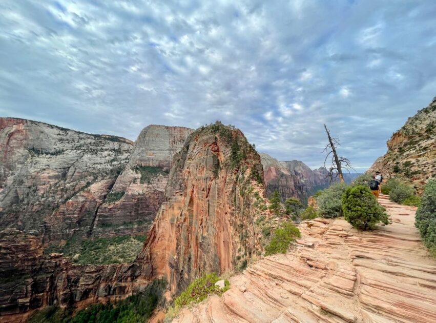 West Rim Switchbacks to Scout Lookout - Zion National Park ...